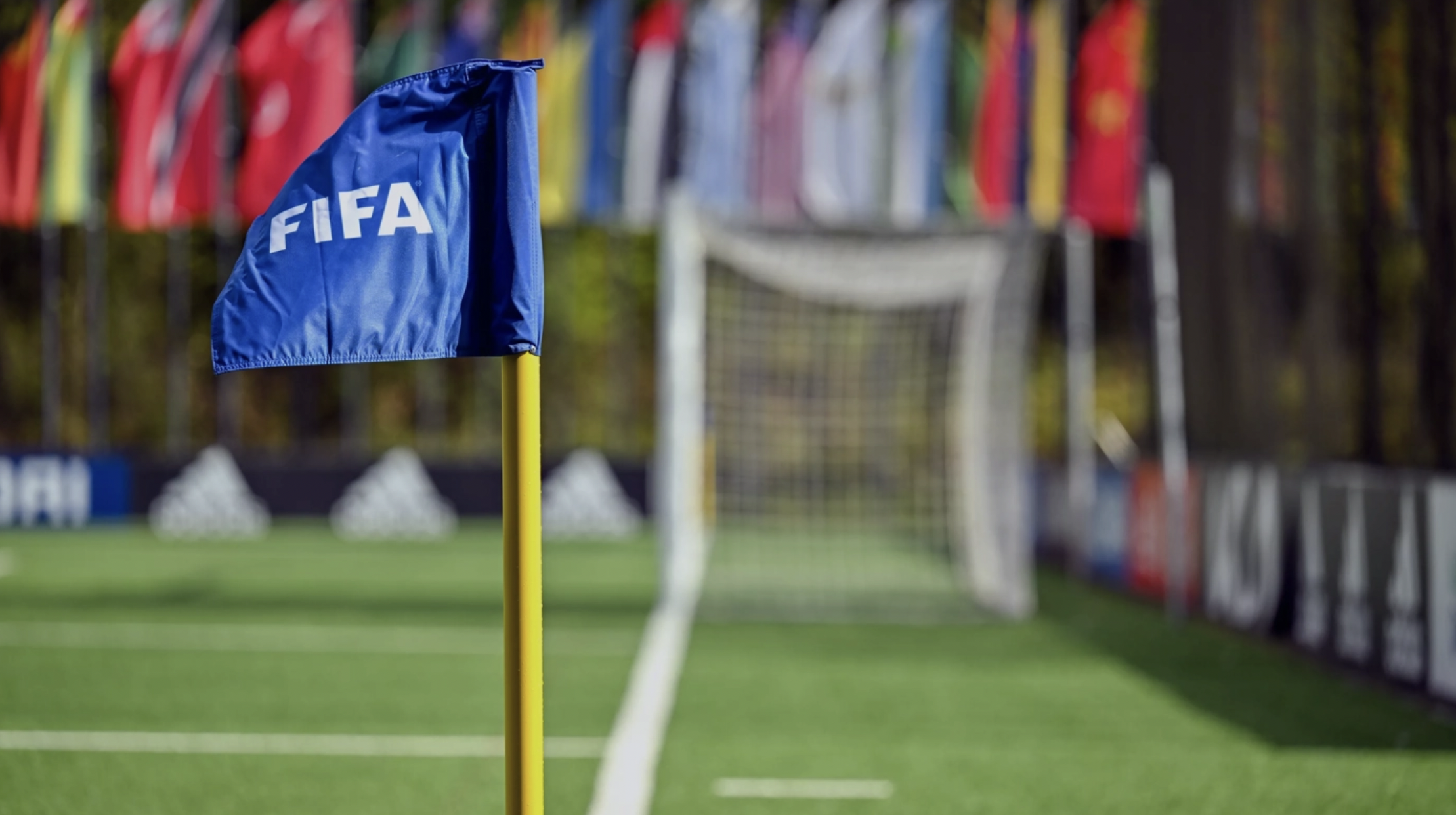 FIFA｜首场FIFA足球经纪人考试通过率约为52%